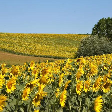 农家乐 Il Geranio Piccione